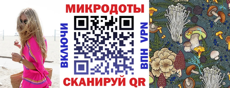 Псилоцибиновые грибы Psilocybine cubensis  цена   Спас-Клепики 